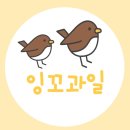 잉꼬과일 이미지