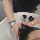 선헤어크리닉 네이버블로그