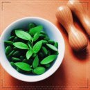 강남산부인과의원 이미지