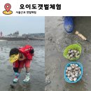 이어어촌체험마을 | 오이도 어촌체험마을 갯벌체험 솔직후기 (주차/물때/준비물/꿀팁 총정리)