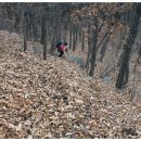 갈골펜션 이미지