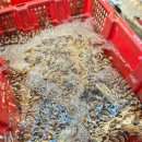 (주)웨이렌트카 이미지