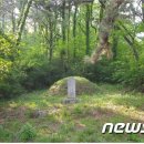 두사순 두정란 묘 뉴스1