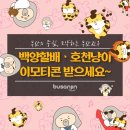 백양 이미지