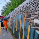 부국흑염소 이미지