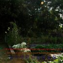 백봉농장 이미지