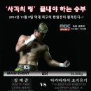 (주)한국버팔로
