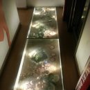 입큰개구리노래방 이미지