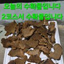 버섯이네잡화점 - 마포구 희우정로10길 14 | 버섯이네잡화점