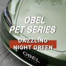 용인랩핑 테슬라 랩핑 OBEL DAZZLING NIGHT GREEN 대즐링 나이트 그린 전체랩핑 후기