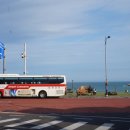 서귀포초등학교 병설유치원 이미지