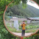 소천초등학교두음분교장 이미지