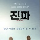 진파 티스토리