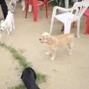 수리야 놀자 이미지