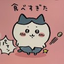 히사시부리 이미지