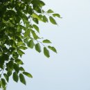 공학3관 이미지