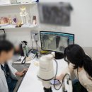 파우 동물병원 | 고양이 강아지적외선조사기 피터파우 C-레이저 조인트케어로 슬개골탈구 관리
