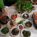 동백나무집 이미지