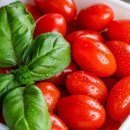 연수네농장 이미지