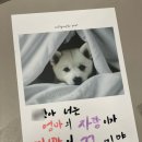 비전교육
