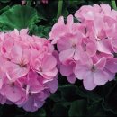 은색농장 이미지