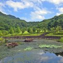 성불산자연휴양림 이미지