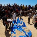 쉬리농장 이미지