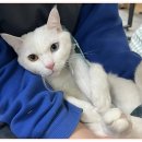 아이조아 요양보호소 서울점 이미지