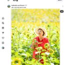 어머낫~ 다니엘님 덕분에 제 사진들이 태백 구와우 해바라기축제 공식 인스타에 올라갔네요~ 감사합니다~🌻🌻🌻🌻🌻 이미지