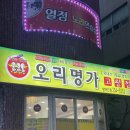 울산 동구 방어동 오리명가 고향정 솔직후기 국내산 최고급 생오리 소금구이