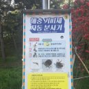 비 프랜드 이미지
