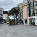 중앙동185 이미지