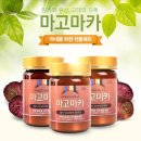 마고