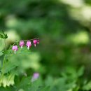 황토메타길 이미지