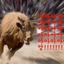 구포시장1 이미지