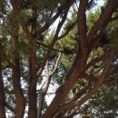 영원암샘 이미지