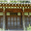 강진5호 이미지