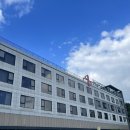 나염단지입구(18111) | 제주 호캉스 끝판왕? 중문 더본호텔 3박 4일 예약 내돈내산 찐후기 스탠다드더블룸 솔직 리뷰 &amp; 여행 꿀팁