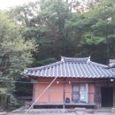 강골민박 이미지