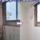 일성도색