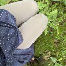 오투힐 리조트 이미지