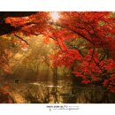 빛으로 그린 세상 이미지