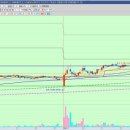 유니포러스 이미지