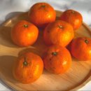 라포르하례 이미지