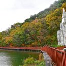 제천시 의림지 주차장 이미지