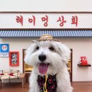 헤이멍 이미지