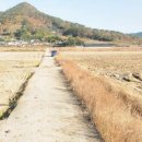 별량면 행정복지센터 이미지