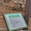 노적봉 도당지 이미지