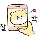 스테이아른 이미지