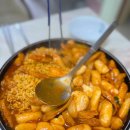 야곱의뜰 | [ 2026년 3월 일상 정리① ]